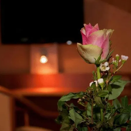 Cafe Hoyer Und Pensjonat