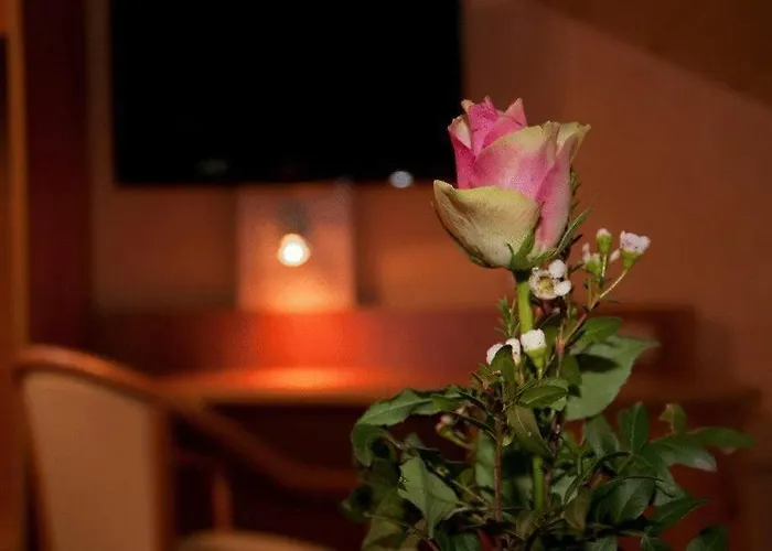 Cafe Hoyer Und Pensjonat